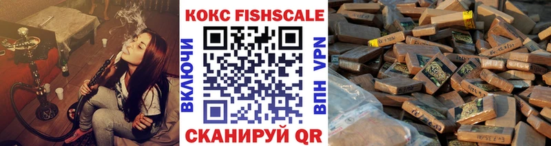 сколько стоит  дарк нет наркотические препараты  COCAIN Fish Scale  Ильский 