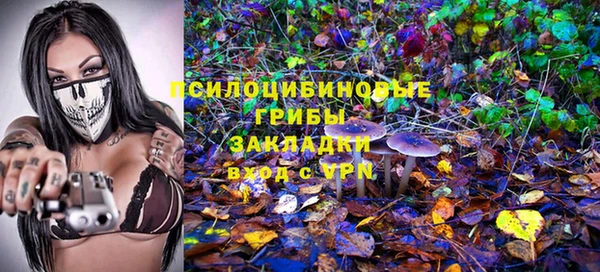 бошки Аркадак